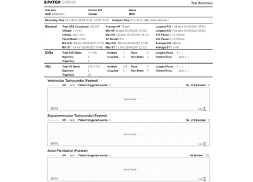 REPORT (PDF)
